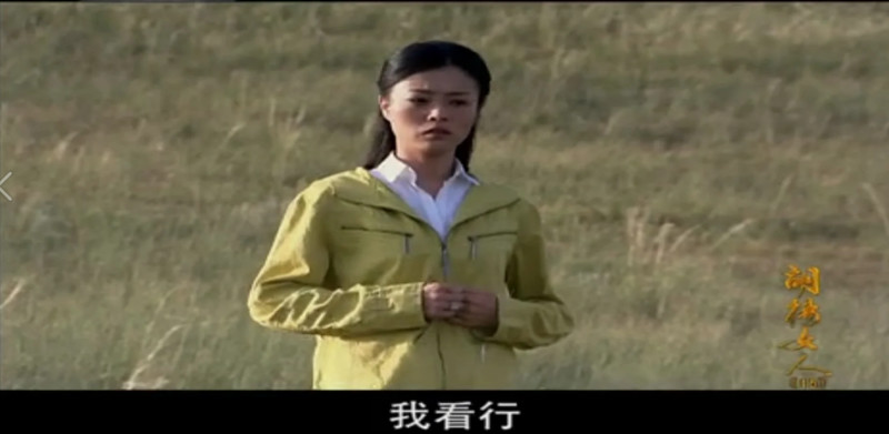 胡杨女人