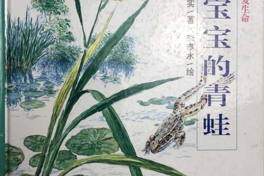 产宝宝的青蛙