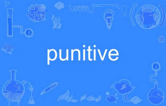 punitive_百度百科