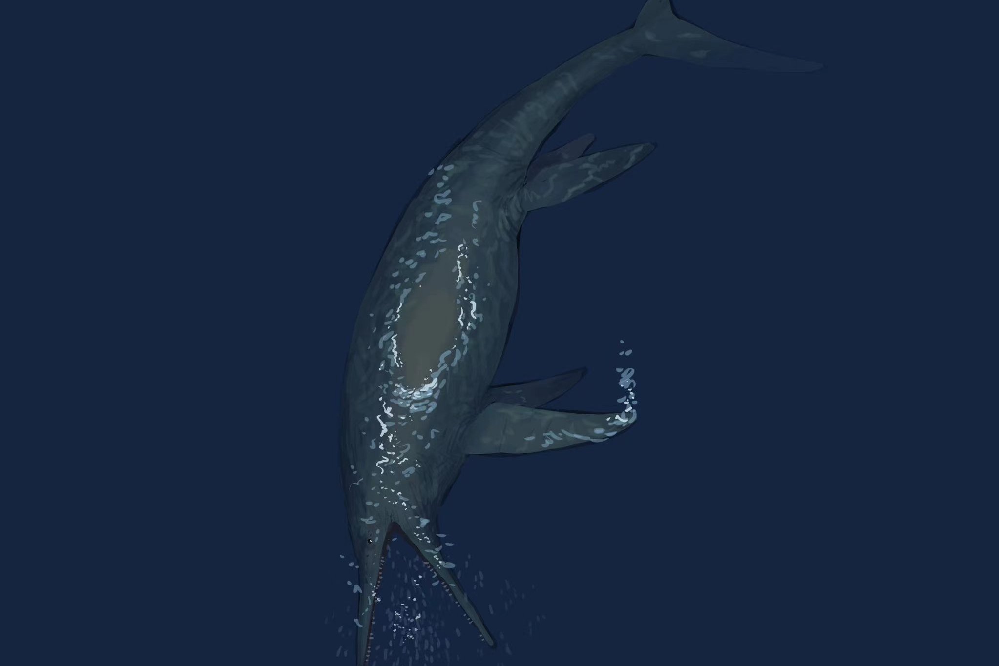  p> a target="_blank" href="/item/秀尼鱼龙属/15720935" data