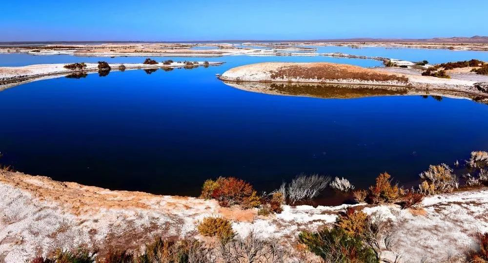 景泰白墩子湿地公园地址(甘肃白银景泰县上沙窝镇白墩子村新闻)