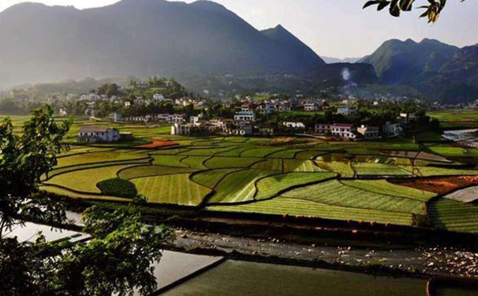  p>长梁镇,隶属于湖北省恩施土家族苗族自治州建始县,地处 a target="