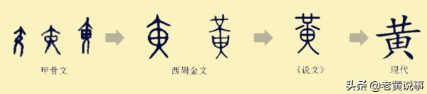 “黄”字中间，是田字，还是由字？_百科TA说