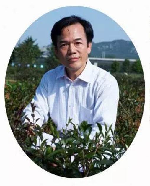 陈栋