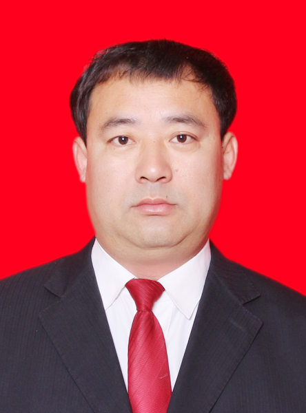  p>李小鸿,现任陕西省榆林市子洲县三川口镇镇党委书记. /p>