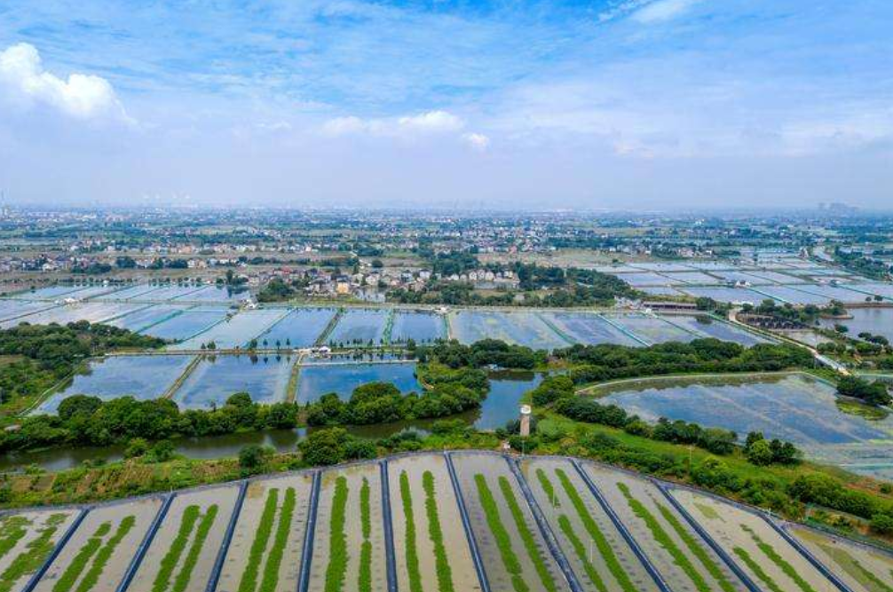  p data-id="gnzv83bhhb">洪桥镇,隶属于浙江省湖州市长兴县,介于东经