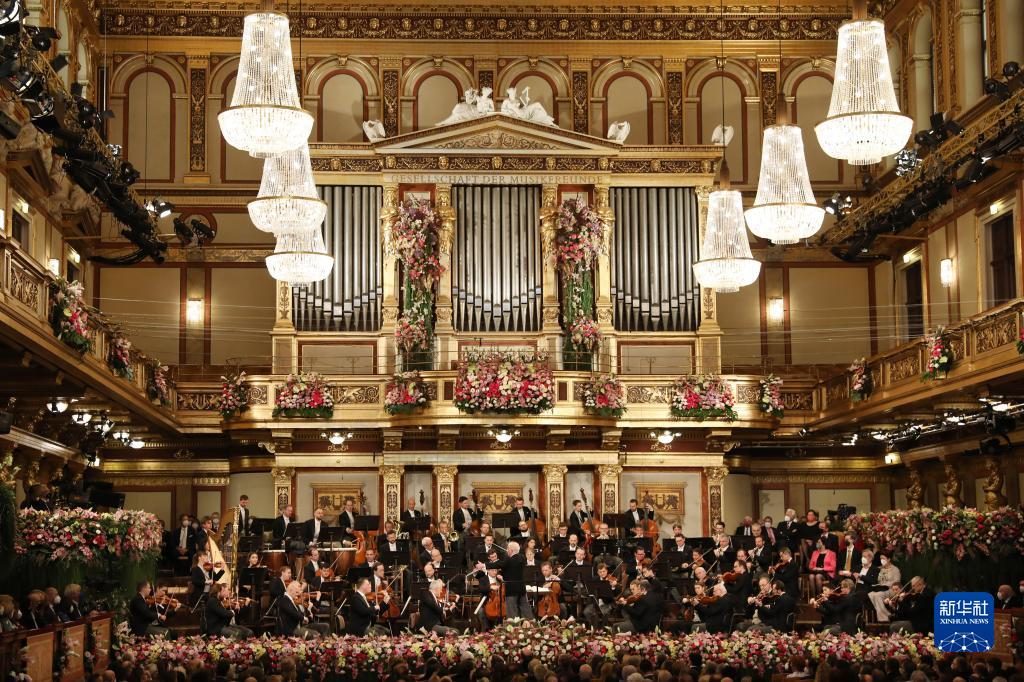 花与蛇小说掀起阅读热潮引发关注，众多读者争相追捧，线下书店排起长队，网络话题热度持续攀升。