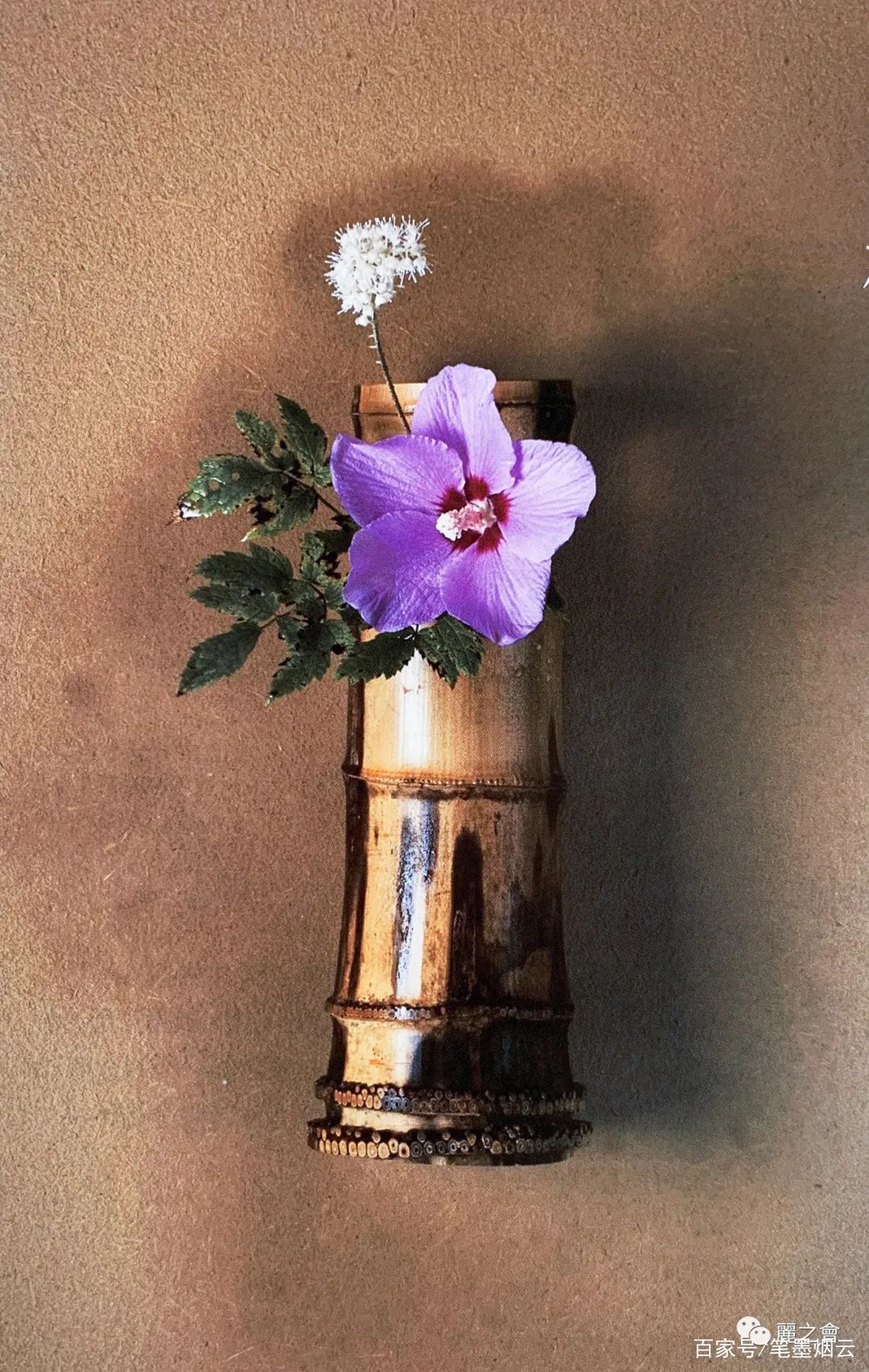 日本茶道与花 百科ta说