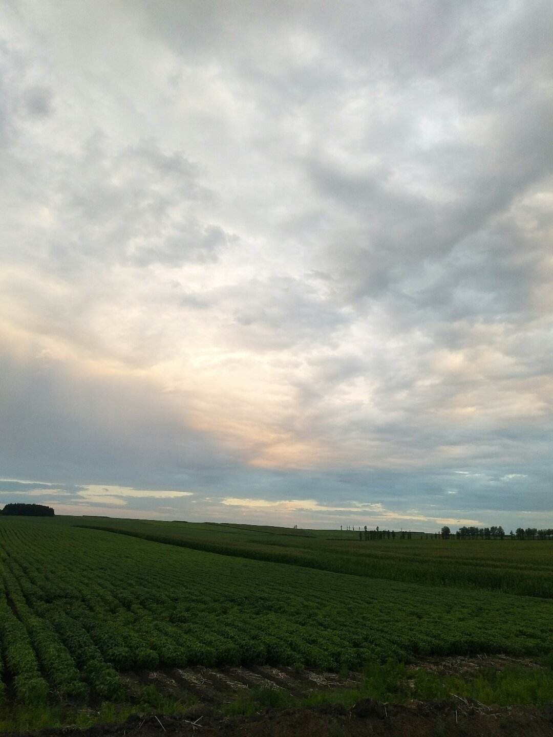 五大连池市西南部,东与 a href="#" data-lemmaid="10054584">沾河