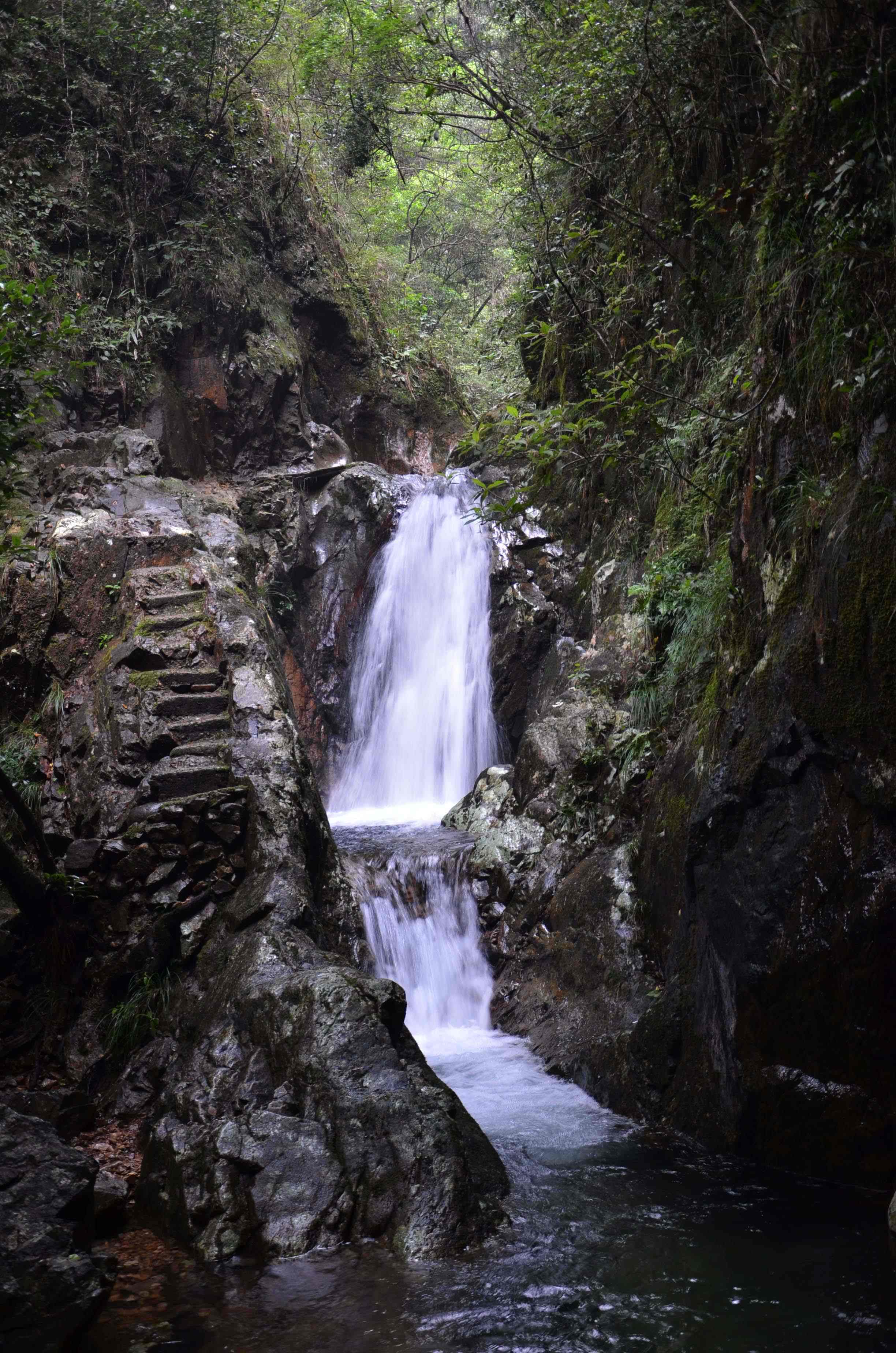 广东五华七目嶂省级自然保护区