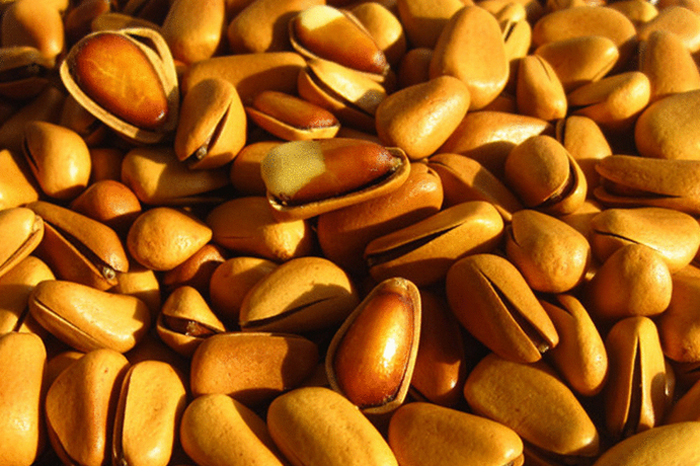 勃利红松籽的做法 红松松子的功效与作用