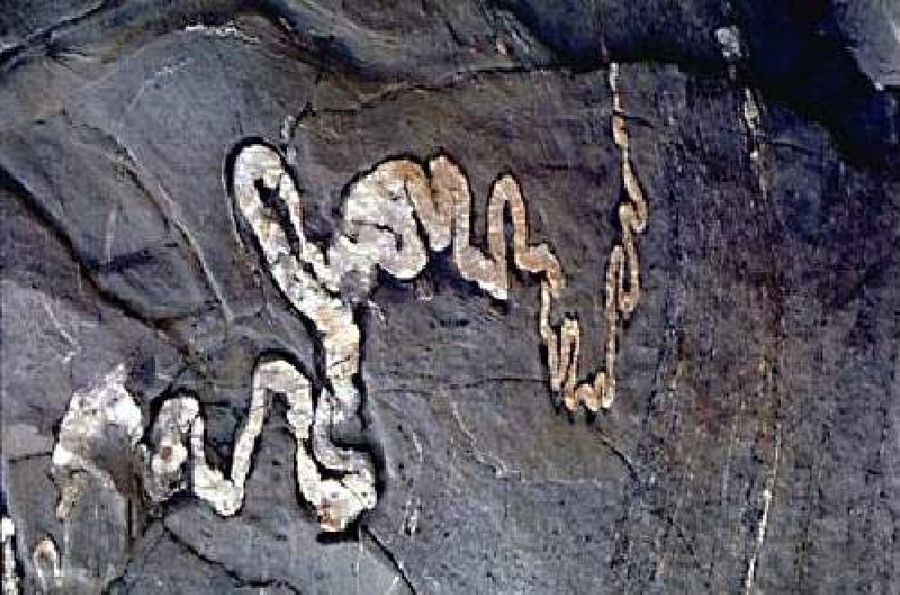 并特别是发育在 a target="_blank" href="/item/混合岩化作用