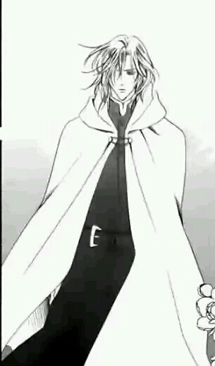 那模模糊糊足以灼痛的紫色瞳孔,以及那闪闪发光的银色头发,深深的看着