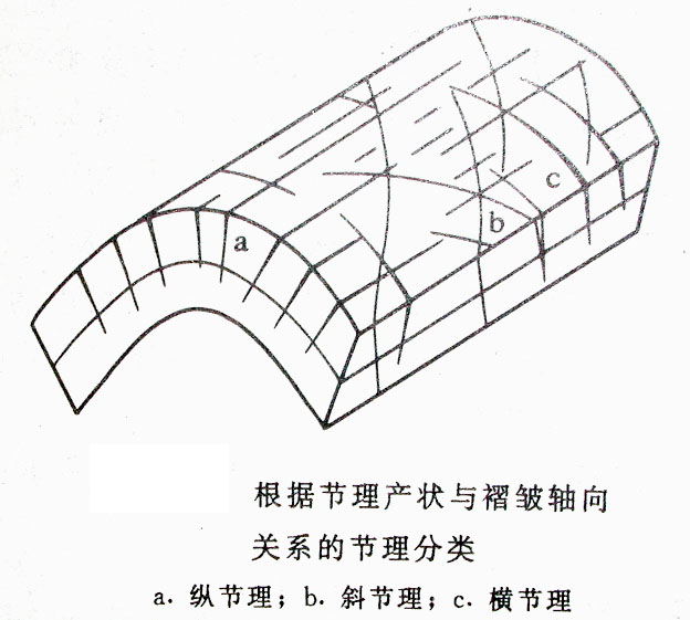  p>纵节理是指走向节理的几何关系与褶皱轴或区域构造线走向大致平行