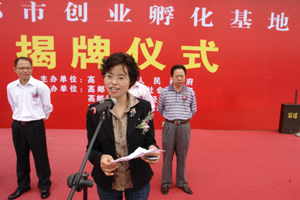 data-lemmaid="2248316">高邮 /a>市人民政府副市长