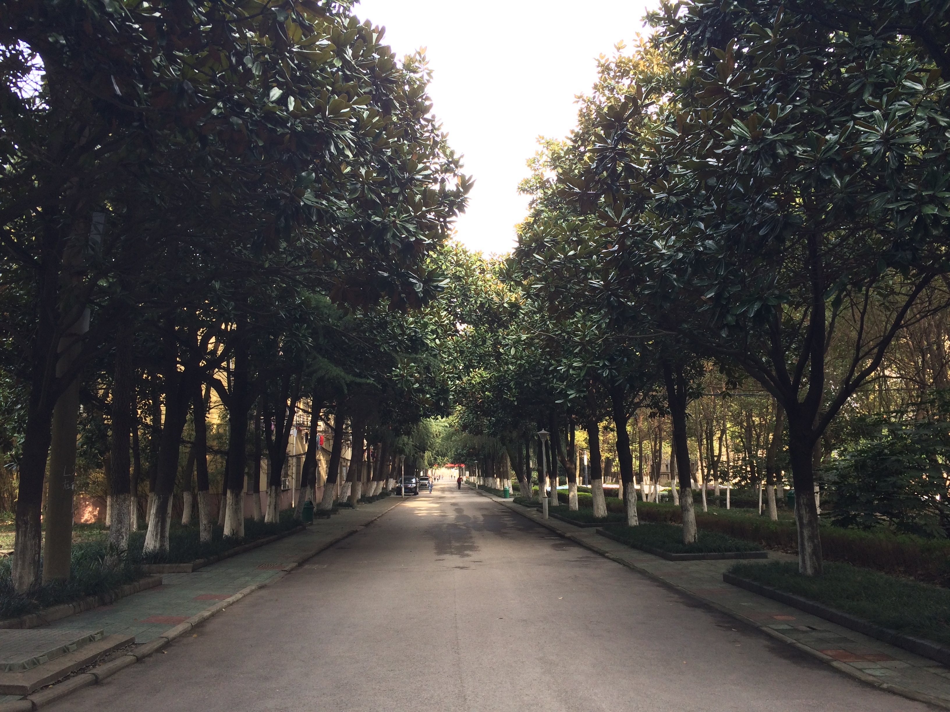 college of anhui normal university /i>),简称皖江学院,师大皖江
