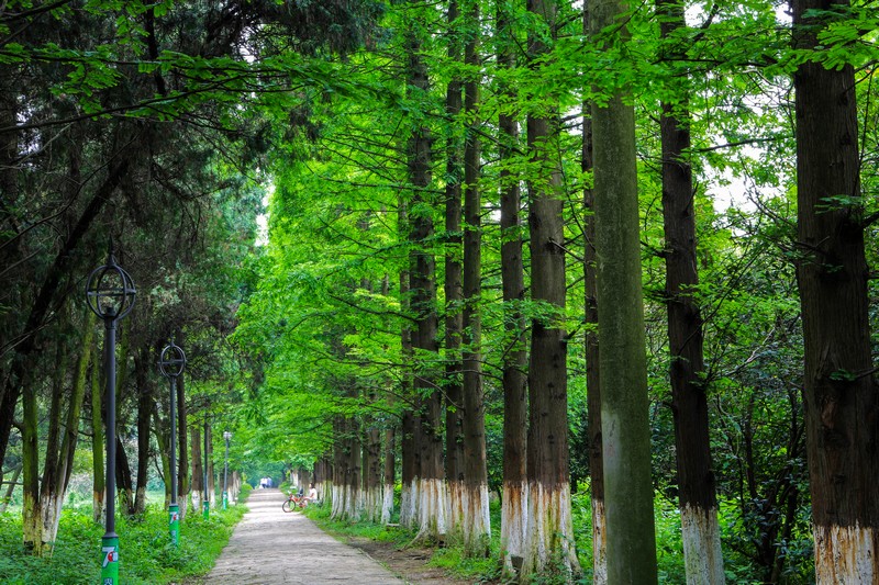 贵阳花溪湿地公园