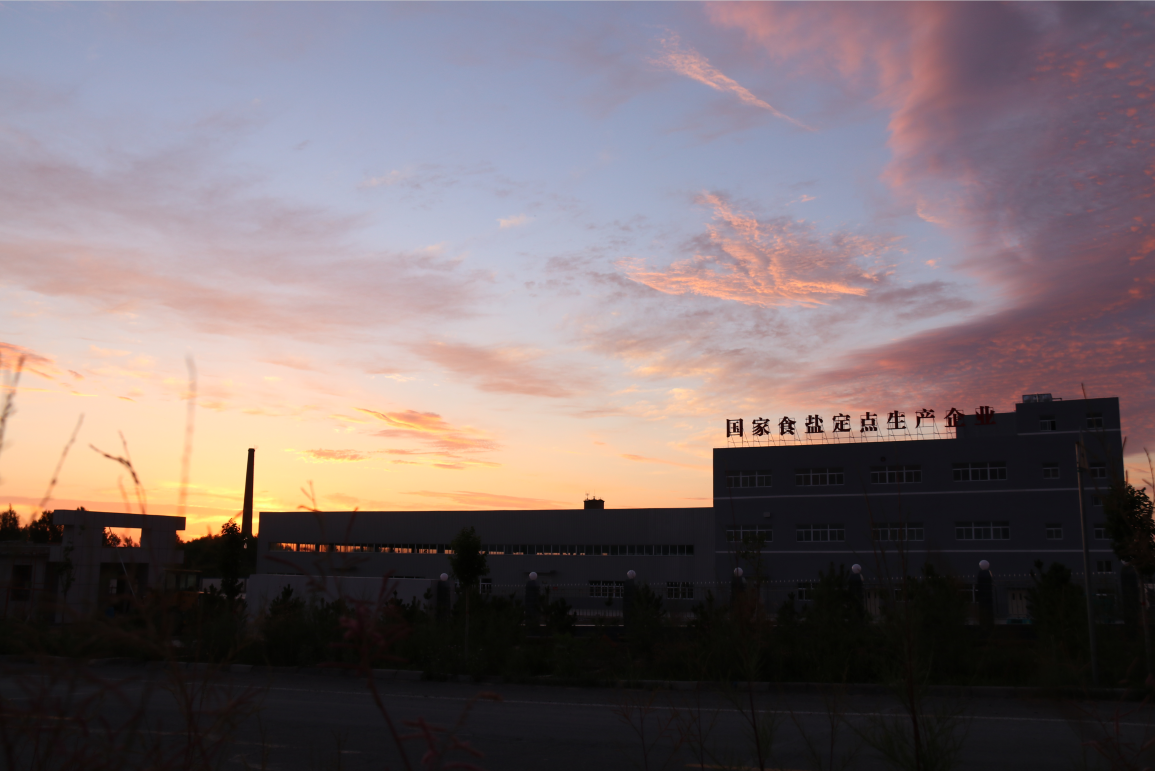 中湖盐股份有限公司