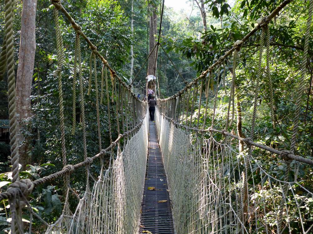 西双版纳雨林谷