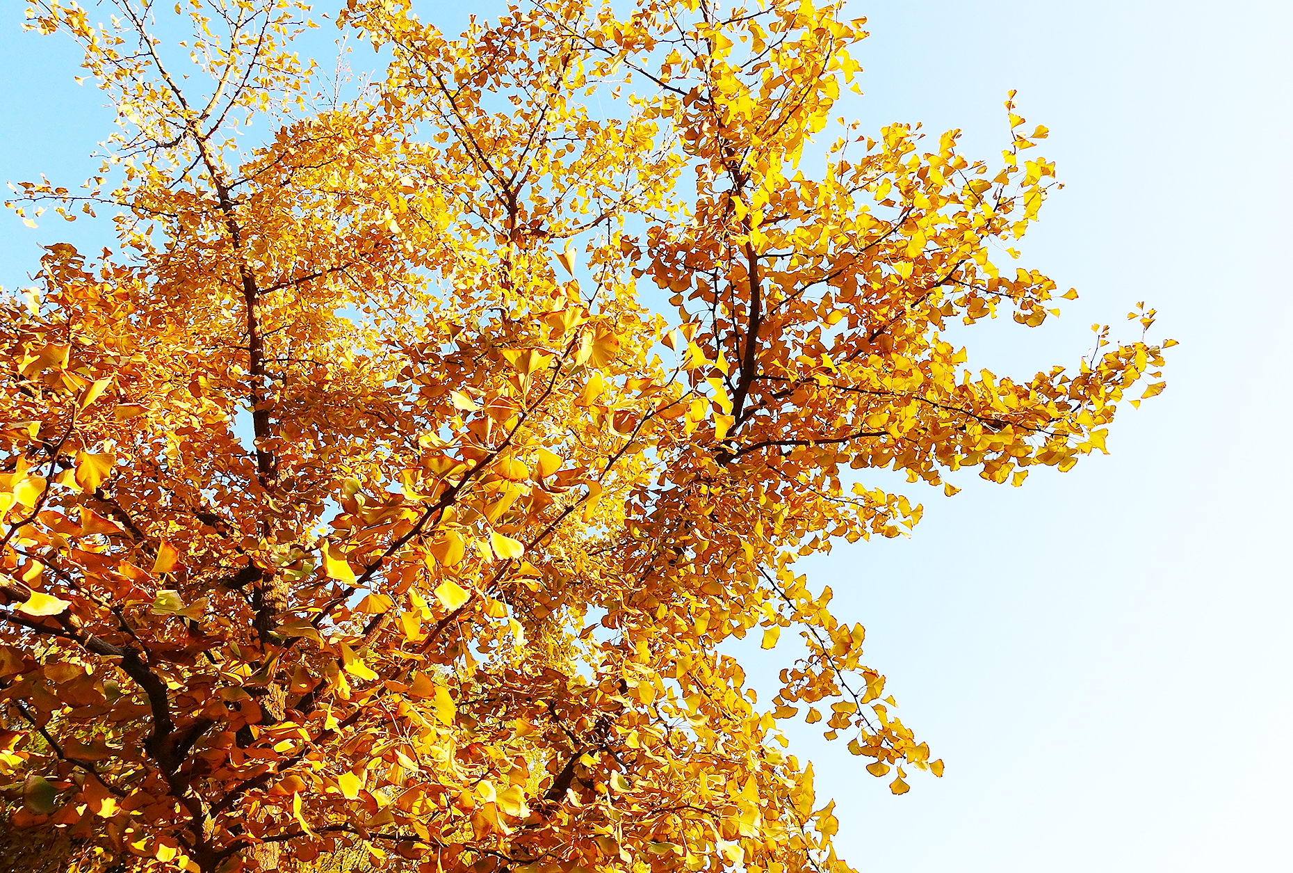  p>日月岛是大庆连环湖度假区西部一个面积约1平方公里的湖中小岛