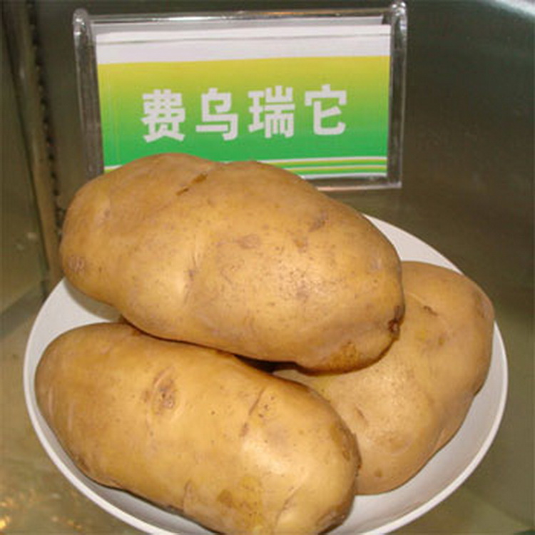 费乌瑞它