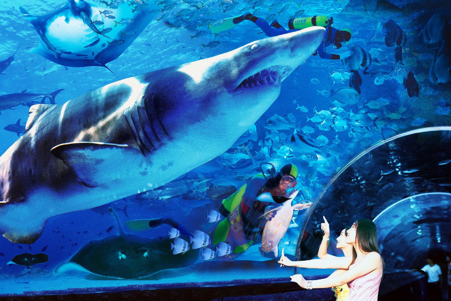  p>中国浪漫的海洋主题乐园,浪漫 a target="_blank" href="/item