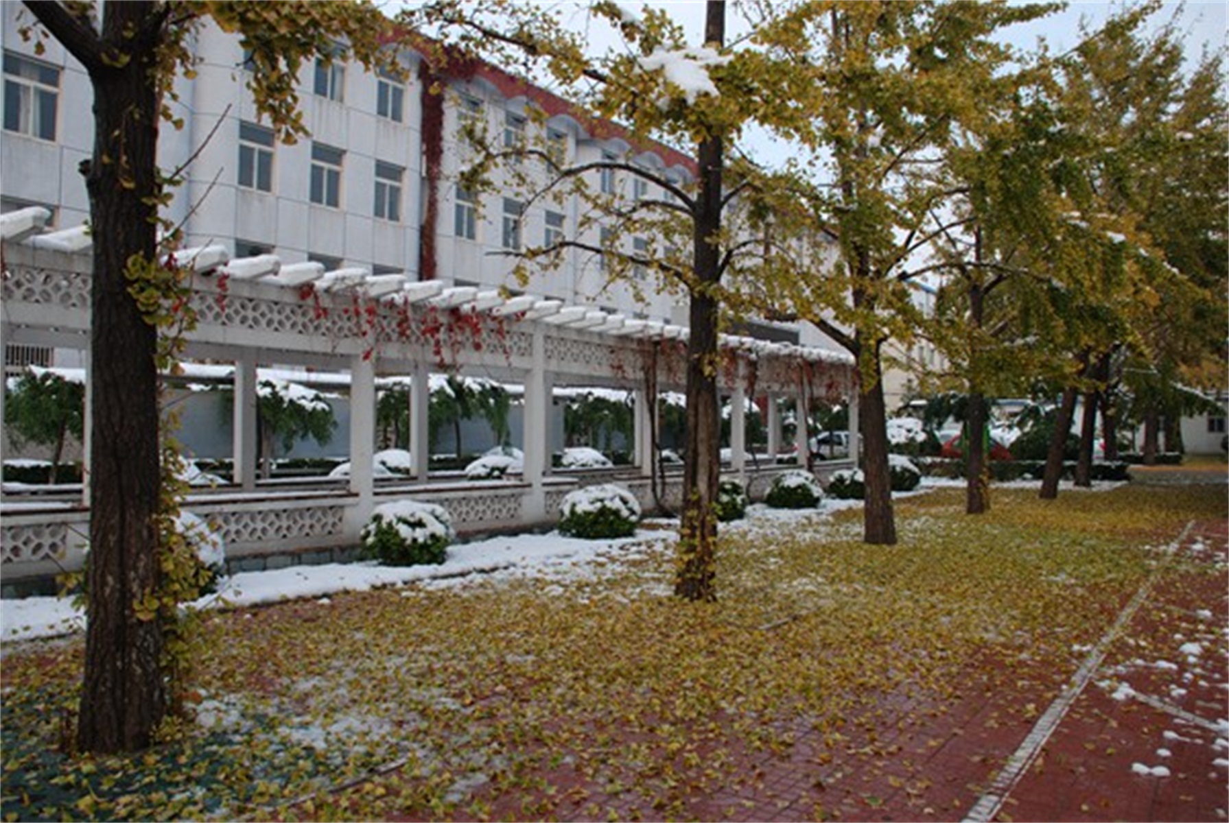  p>北京市第十七中学(beijing no.