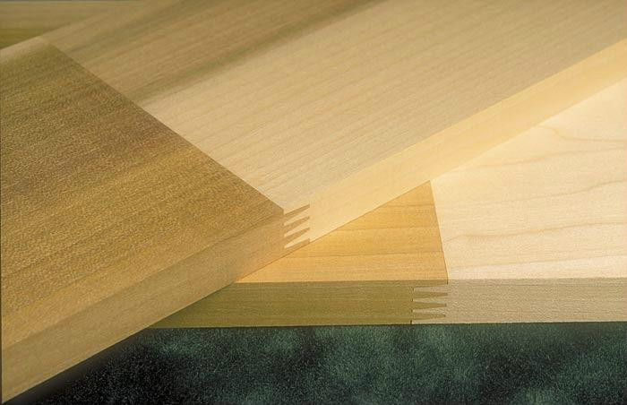  p>北美鹅掌楸(学名: i>liriodendron tulipifera /i>  linn.