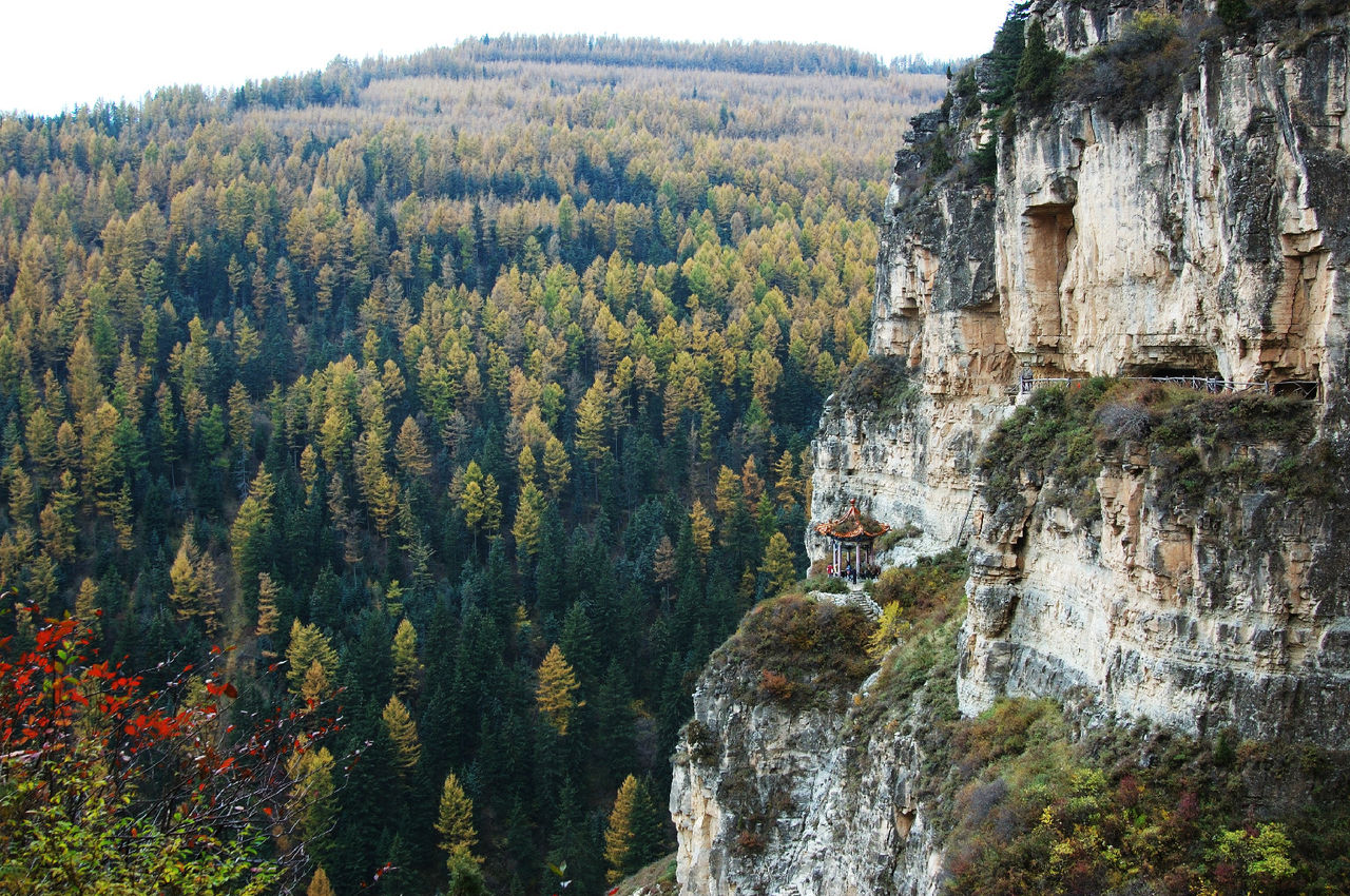  p>芦芽山景区,是国家aaaa级旅游景区,国家级自然保护区,佛教名山