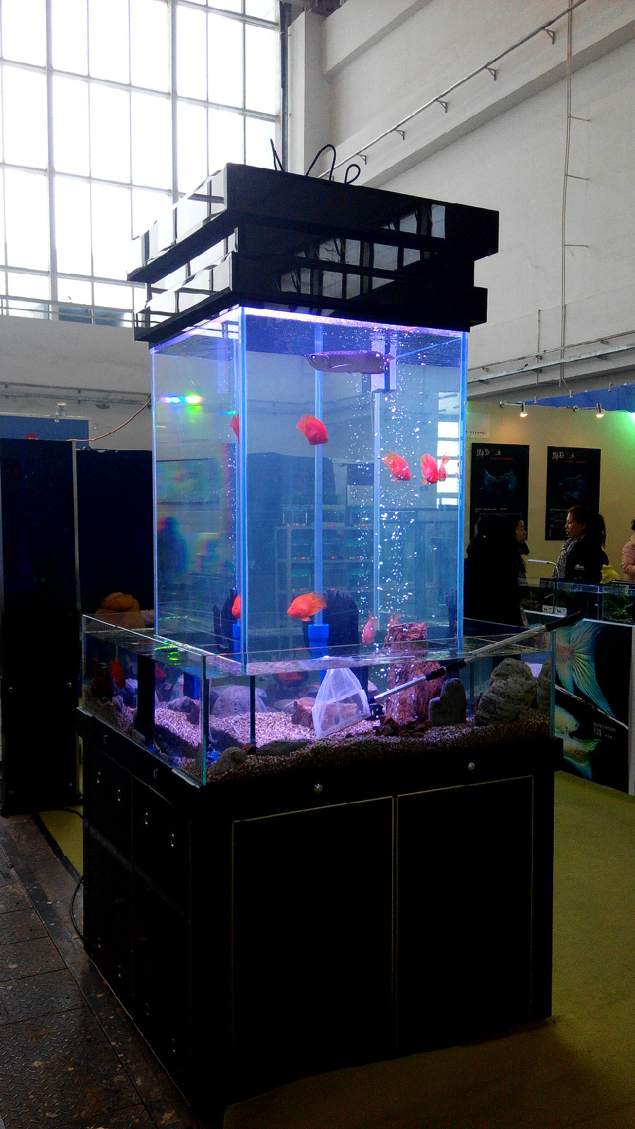 鱼缸