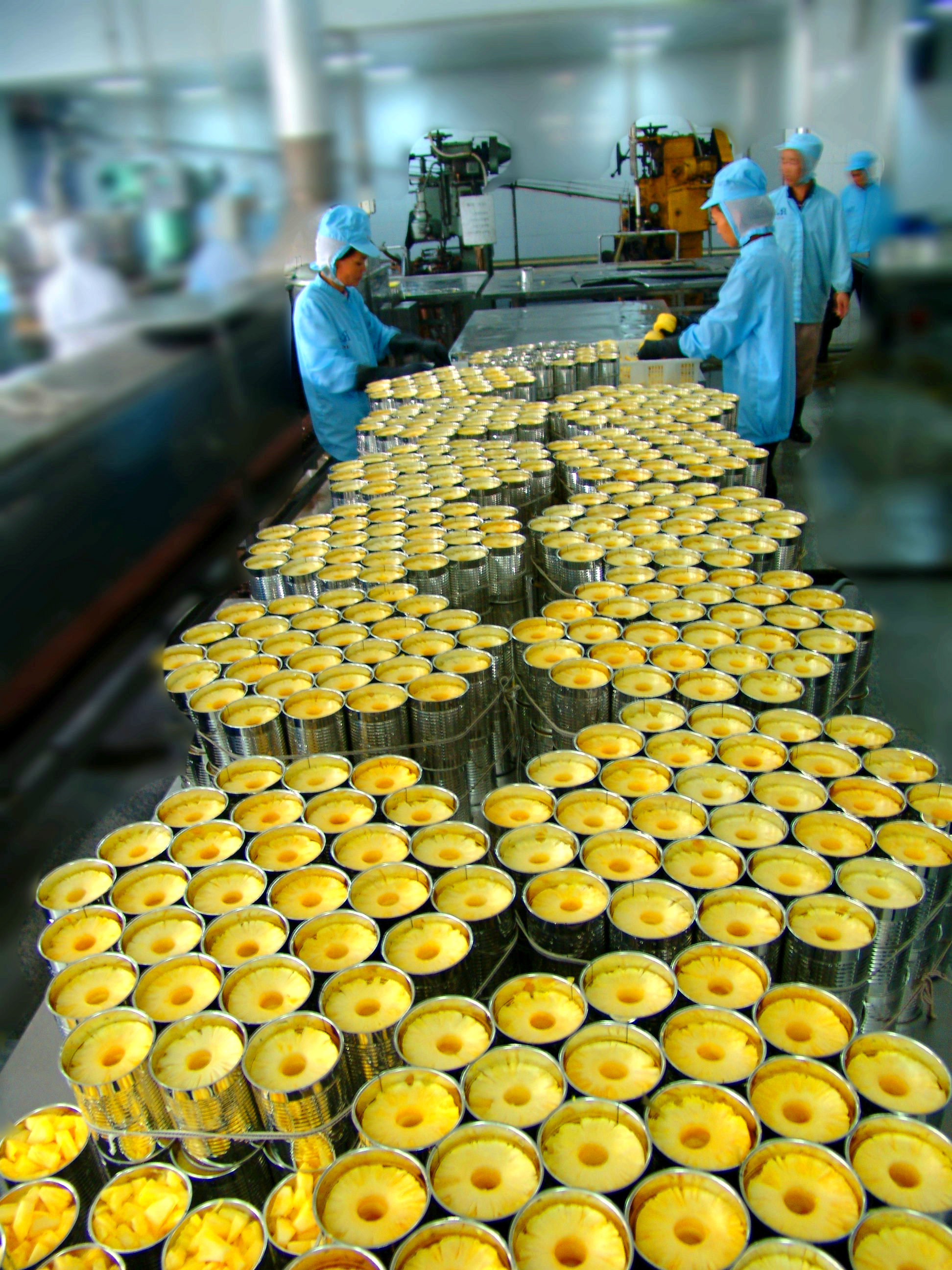 广东收获罐头食品有限公司