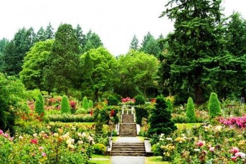 波特兰玫瑰园