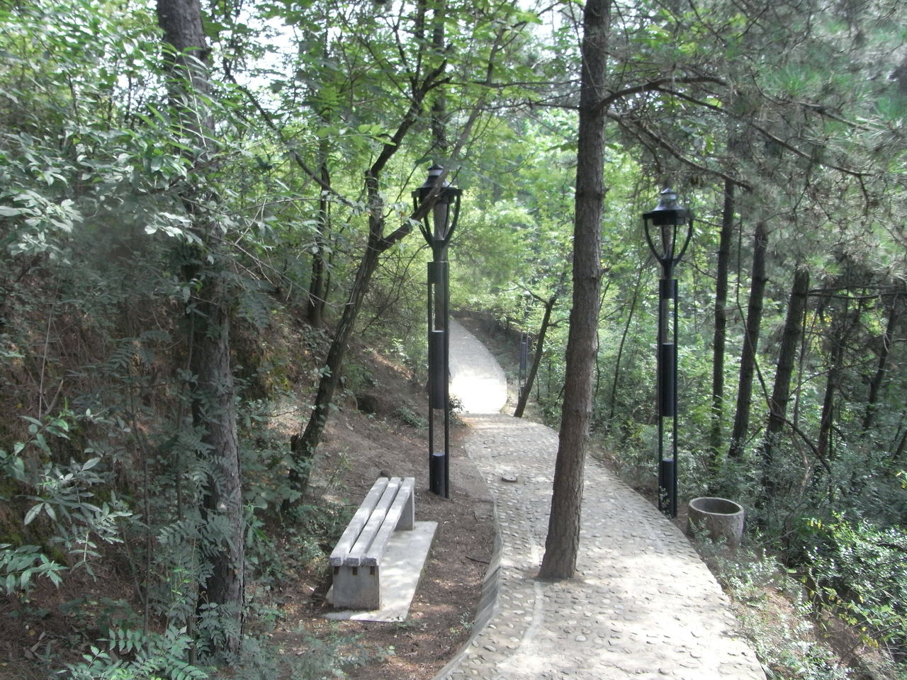 山阳苍龙山森林公园