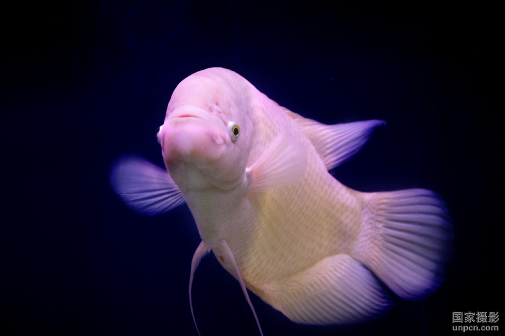 包含济南丝足的词条