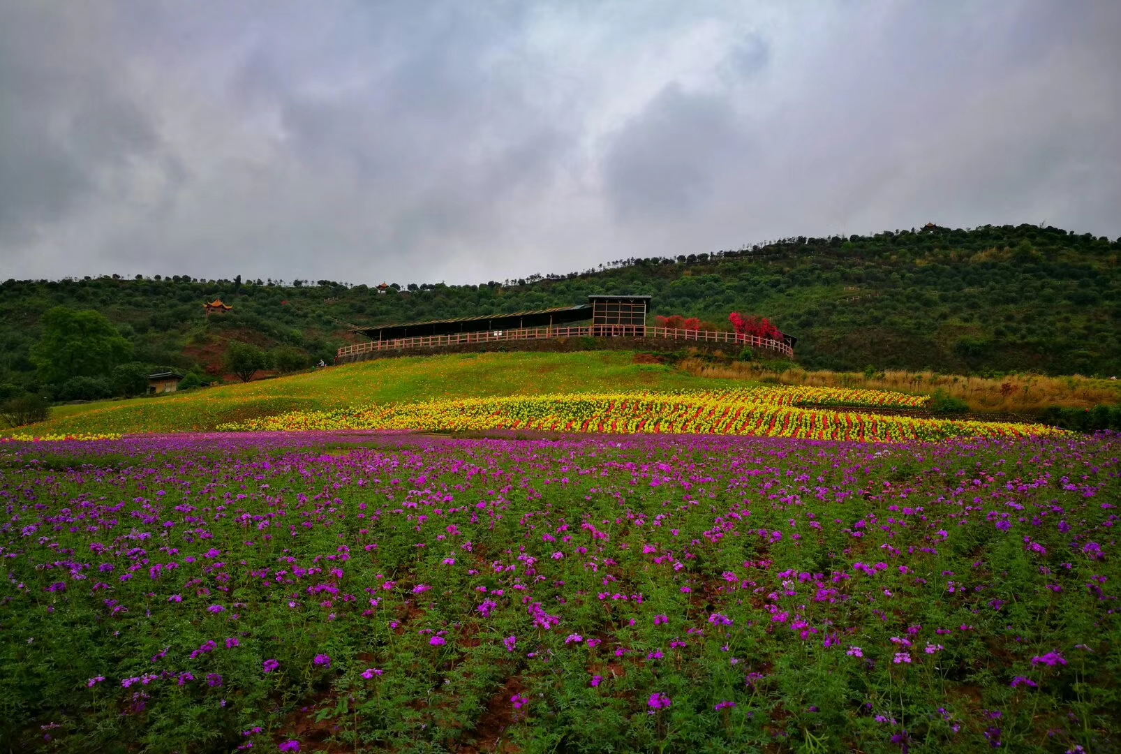  p data-id="gnvh2ch11p">喜来登杨梅小镇位于四川省成都市天府新区