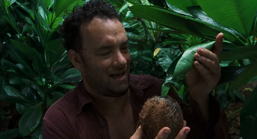 荒岛余生电影 全网资源