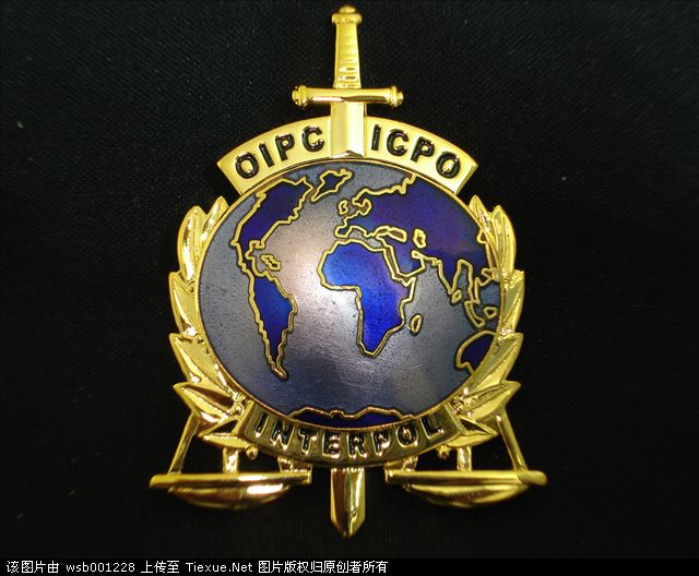 lemmaid="6412">维也纳 /a>,德奥合并后,该组织被德国秘密警察接管