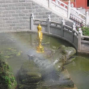 放生池