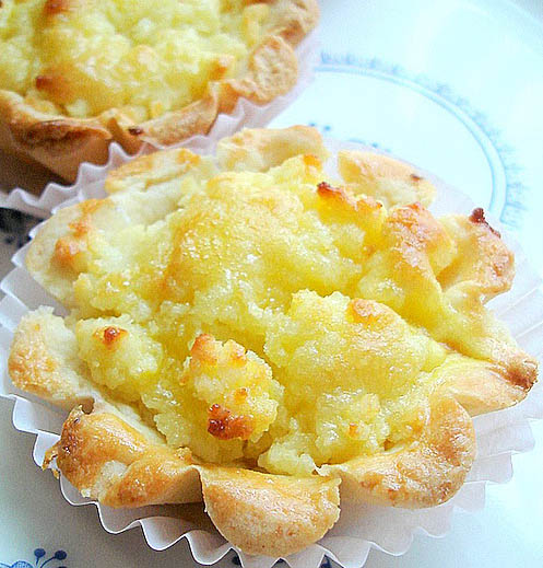 与香浓的蛋挞相比,椰子塔没有 a href="#" data-lemmaid="882634">