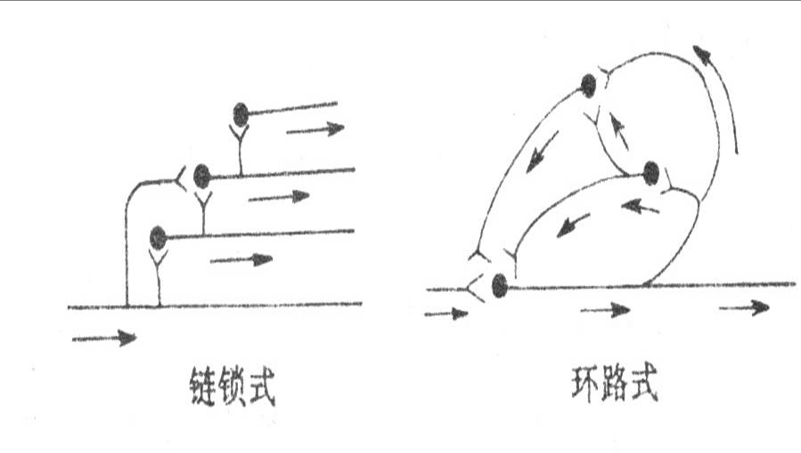 中枢神经元