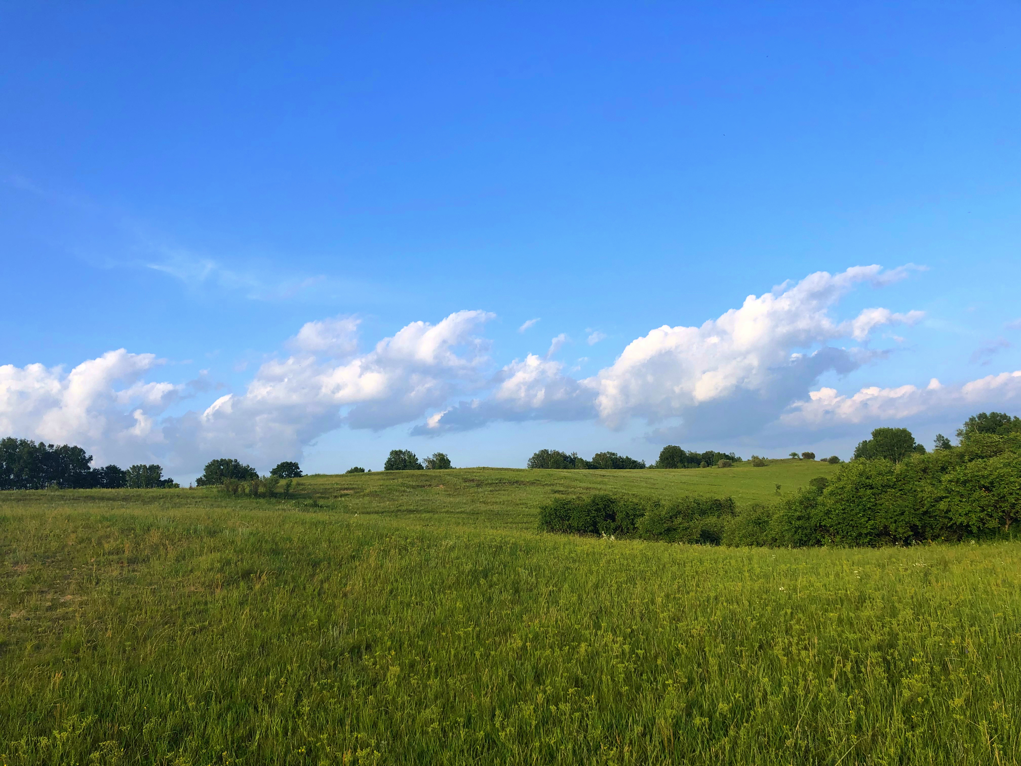 御道口草原风景区