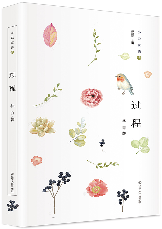 《小说家的诗:过程》是辽宁人民出版社出版的书籍,作者是林白