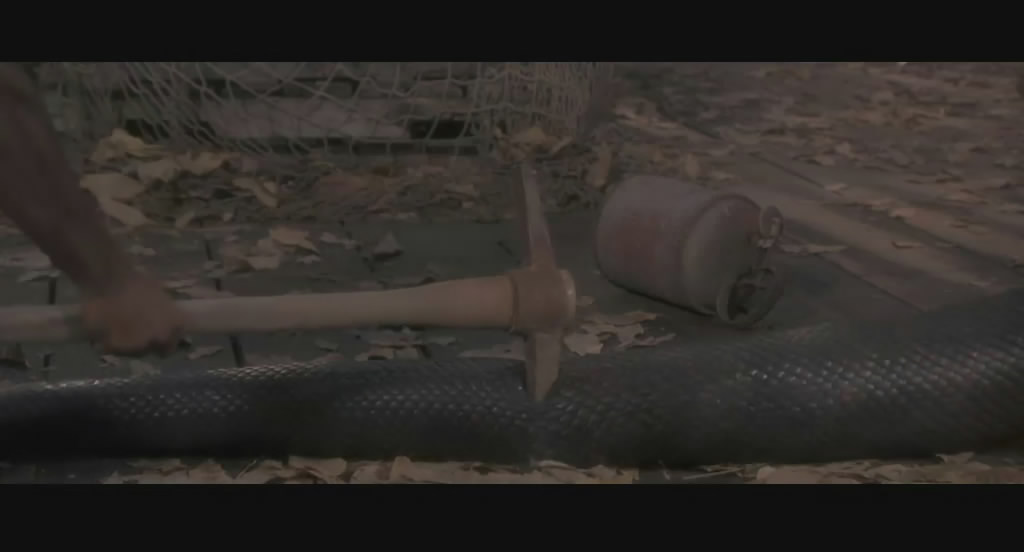 狂蟒之灾anaconda(1997)