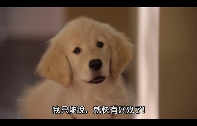  p>《太空犬》是由罗伯特·文斯执导的一部科幻/家庭类影片,狄尔里奇