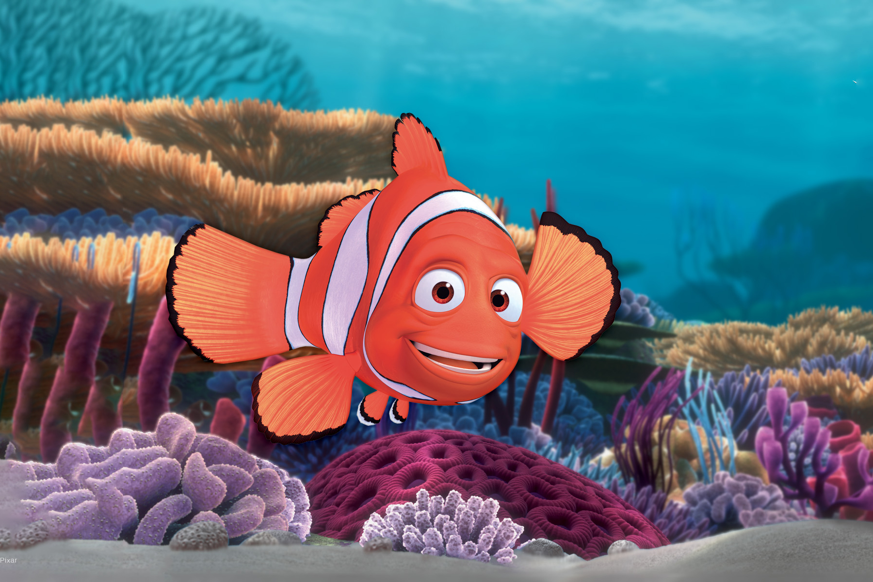  p>马林(marlin),是《 a target="_blank" href="/item/海底总动员