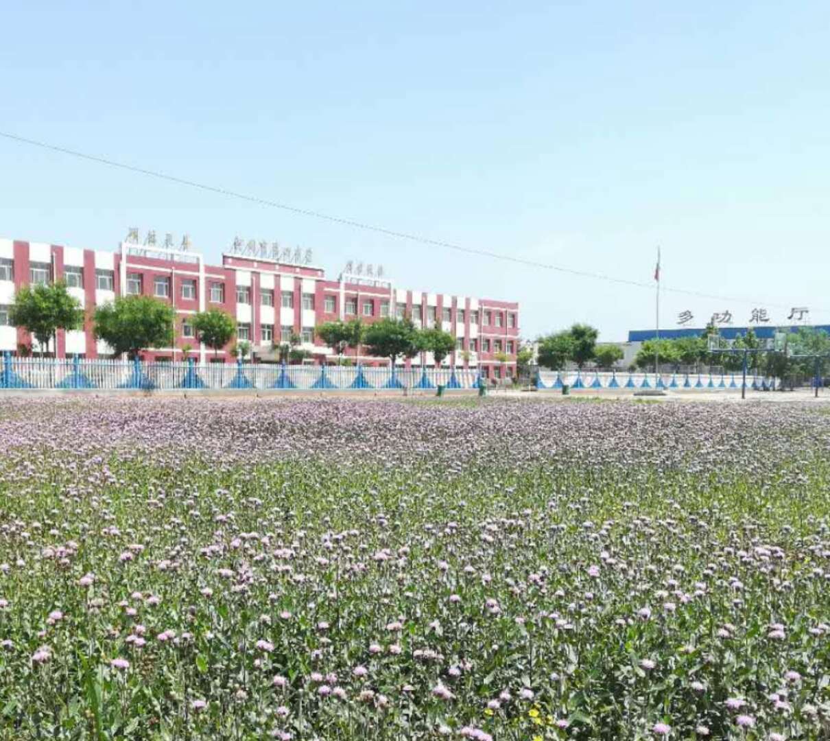  p>河间四中即河间市第四中学,前身系景和中学,成立于1957年.