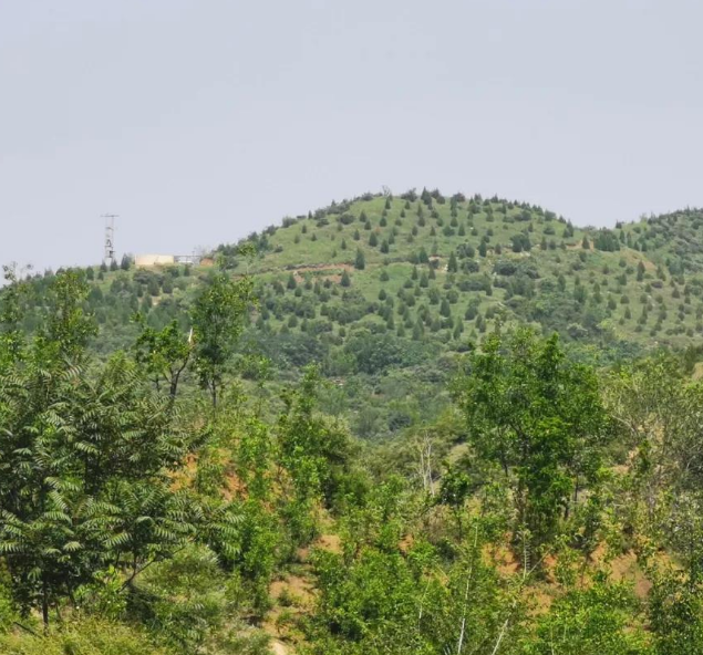  p>齐村镇,河北省保定市 a target="_blank" href="/item/曲阳县