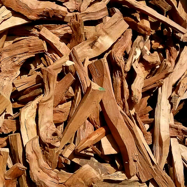  p>檀香是一种古老,神秘的珍稀树种,主产于印度东部,印尼,泰国