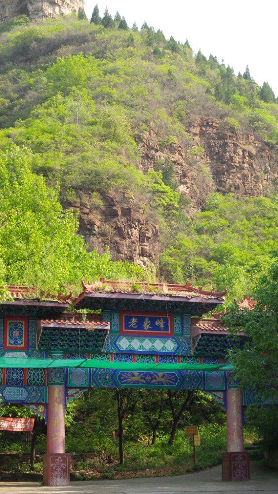 密林幽深,崖壁古城,菊花仙谷和千亩果园五大景观著称的老象山风景区地