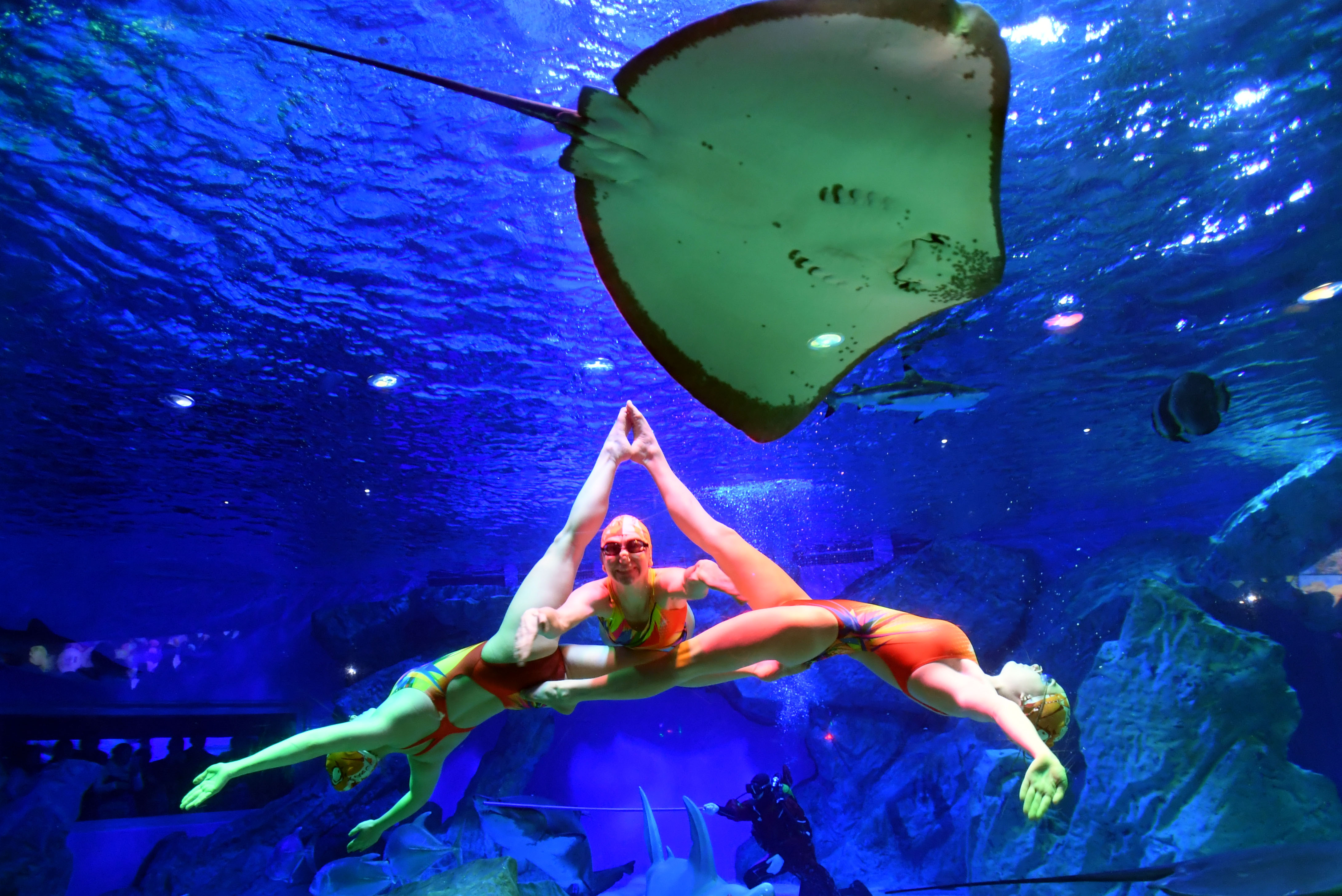 海昌cec·成都极地海洋世界